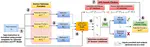 Learning Together to Perform Better: Teaching Small-Scale LLMs to Collaborate via Preferential Rationale Tuning